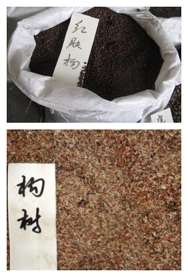 【贛州市日本紅楓種子價(jià)格】?jī)r(jià)格,廠家,其他種子、種苗-搜了網(wǎng)