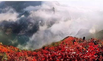 比日本紅楓還美 成都出發(fā)游船賞紅葉,還有地道風(fēng)情美食